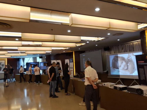2021視聽行業(yè)高峰論壇暨萬里行全國巡展杭州站順利召開 多媒體設(shè)計(jì)服務(wù)的創(chuàng)新與發(fā)展
